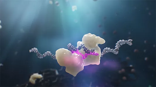 jak_dziala_leqvio_img_1