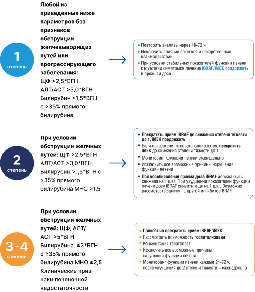 Алгоритм действий при развитии гепатотоксичности [17]