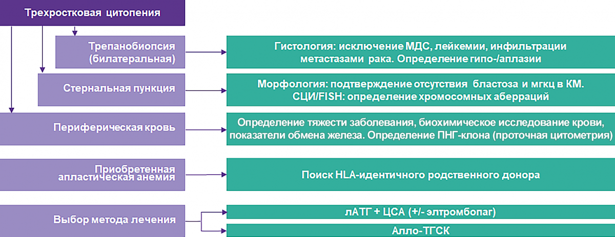 Алгоритм диагностики и выбора метода лечения больных АА Алгоритм диагностики и выбора метода лечения больных АА