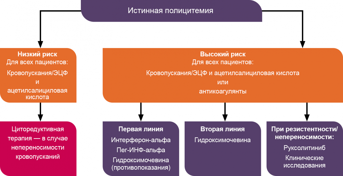 Алгоритм терапии истинной полицитемии Алгоритм терапии истинной полицитемии