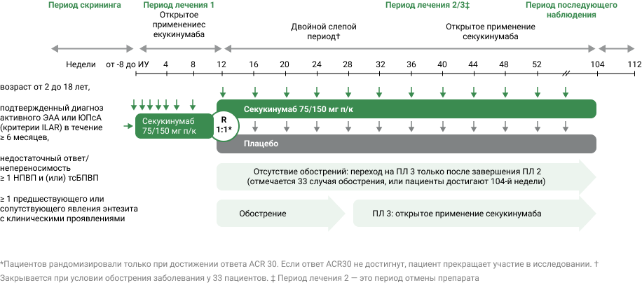 Дизайн исследования Дизайн исследования
