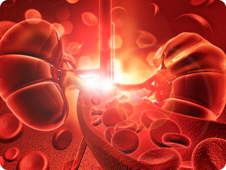 Заболевания, связанные с изменением уровня системы комплемента