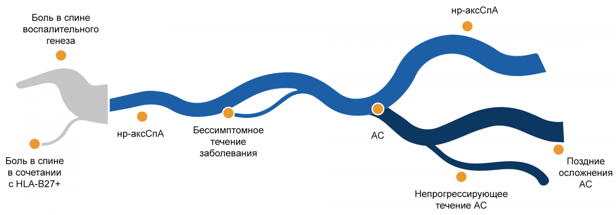 Клиническое течение нр-аксСпА изучено не до конца в связи с гетерогенностью заболевания и скачкообразным течением Клиническое течение нр-аксСпА изучено не до конца в связи с гетерогенностью заболевания и скачкообразным течением