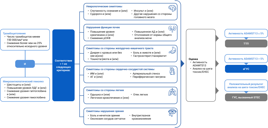 Краткий алгоритм диагностики аГУС исключение других причин ТМА Краткий алгоритм диагностики аГУС исключение других причин ТМА