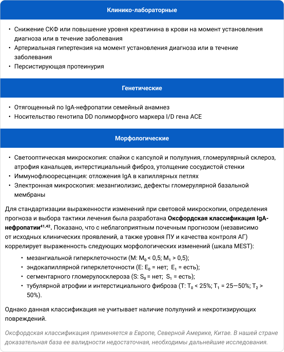 Критерии неблагоприятного прогноза согласно клиническим рекомендациям по диагностике и лечению IgA-нефропатии Критерии неблагоприятного прогноза согласно клиническим рекомендациям по диагностике и лечению IgA-нефропатии