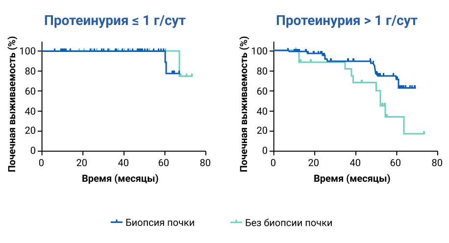 Приложение 5. Выраженная протеинурия (более 1 гсут) является основанием для проведения биопсии Приложение 5. Выраженная протеинурия (более 1 гсут) является основанием для проведения биопсии