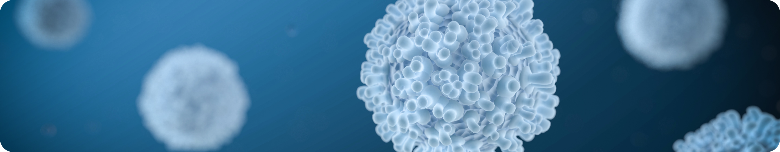 Реакция «Трансплантат против хозяина»