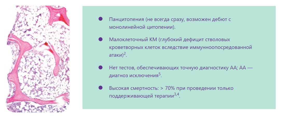 Рисунок из Olnes M.J. et al. N Engl J Med 2012;367:11–19. Рисунок из Olnes M.J. et al. N Engl J Med 2012;367:11–19.
