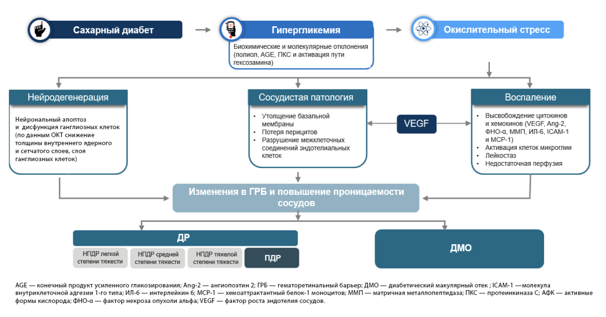 Рисунок 1. Организменные и клеточные изменения в патофизиологии ДР Рисунок 1. Организменные и клеточные изменения в патофизиологии ДР