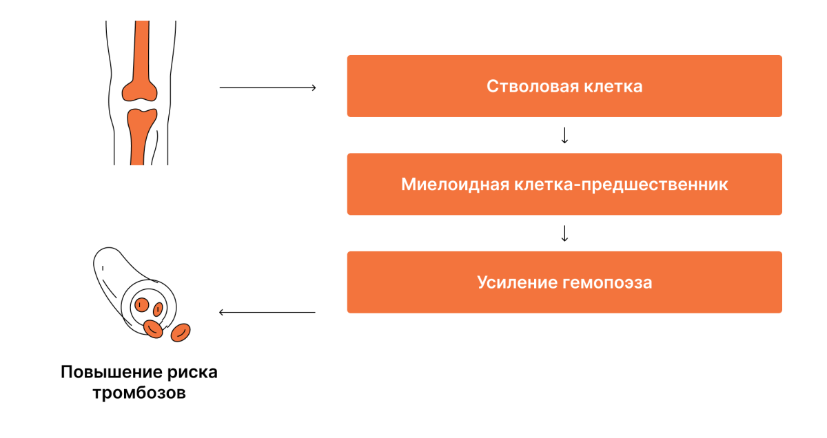 Роль панцитоза в риске тромбозов Роль панцитоза в риске тромбозов
