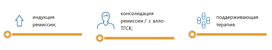 Терапия ОМЛ состоит из нескольких этапов Терапия ОМЛ состоит из нескольких этапов