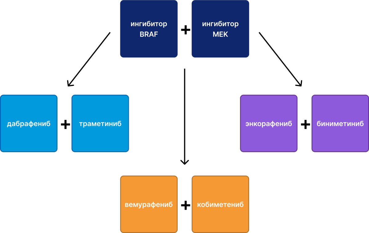 Три комбинации ингибиторов BRAF и MEK Три комбинации ингибиторов BRAF и MEK