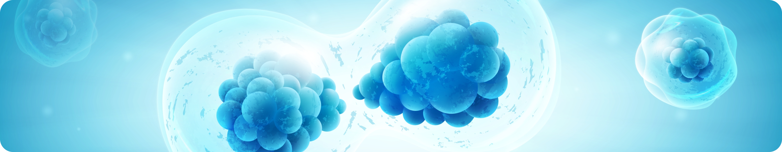 Хронический миелолейкоз