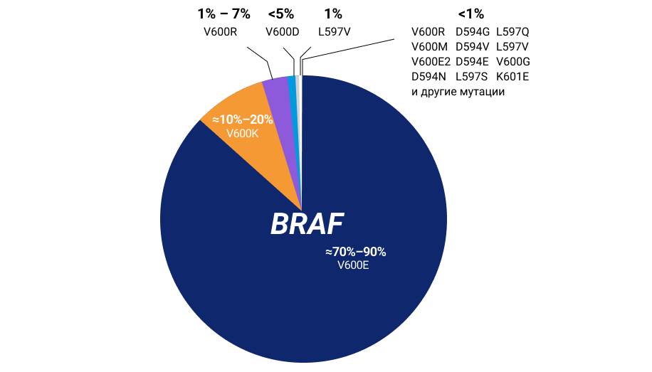 Частота встречаемости различных типов мутаций в гене BRAF у пациентов с меланомой кожи Частота встречаемости различных типов мутаций в гене BRAF у пациентов с меланомой кожи