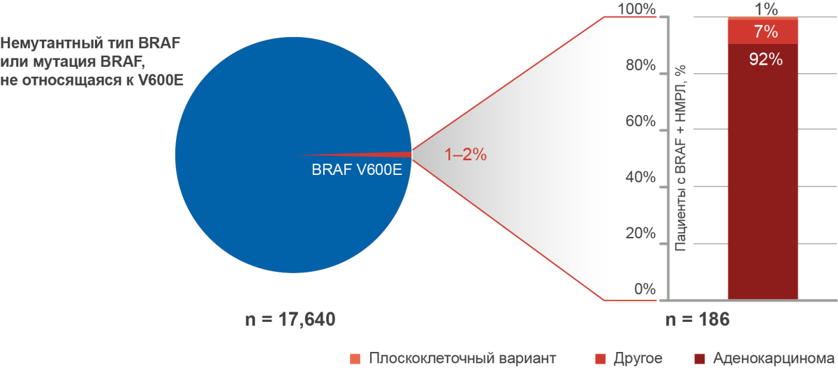 Частота выявления мутации в гене BRAF в зависимости от гистологического варианта НМРЛ Частота выявления мутации в гене BRAF в зависимости от гистологического варианта НМРЛ