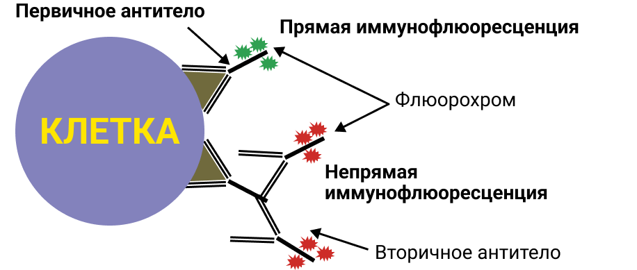 203696-image-2.png 203696-image-2.png
