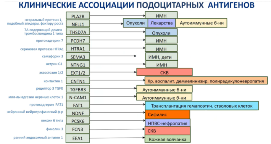 204936-image-7.png 204936-image-7.png