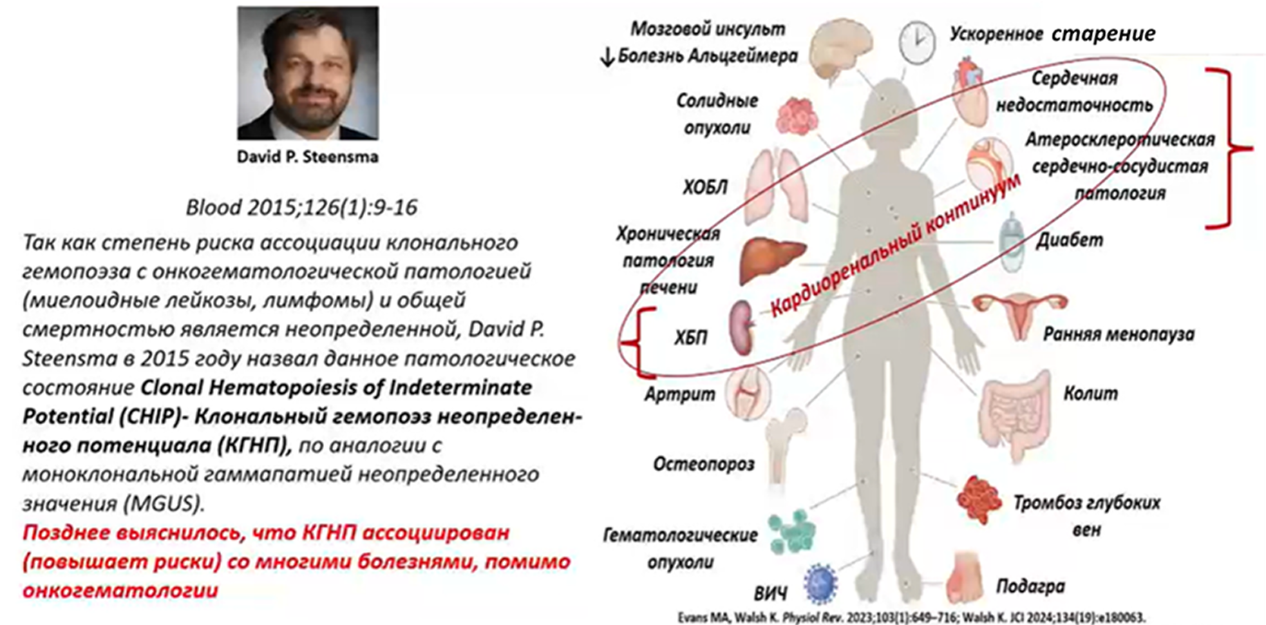 207111-image-6.png 207111-image-6.png