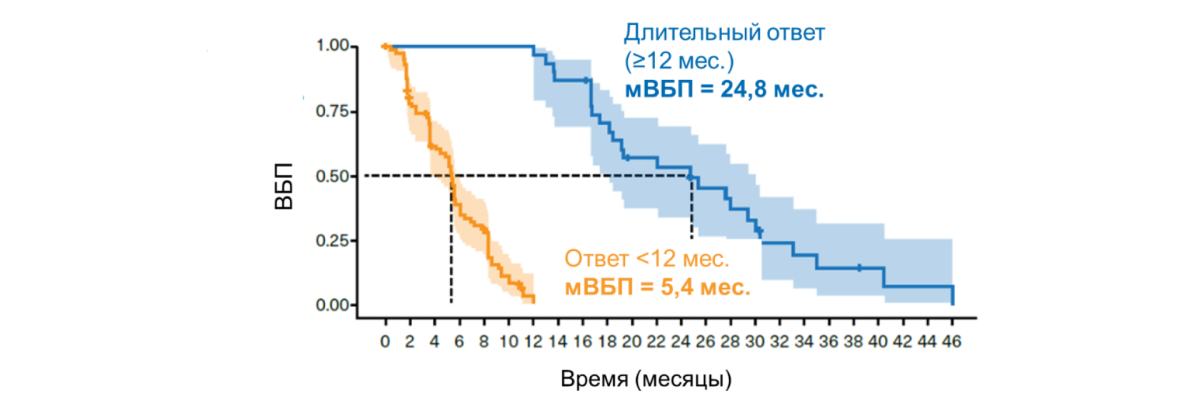 ВБП в подгруппах пациентов с ВБП ≥ 12 мес. и < 12 мес. (когорта А, исследование BYLieve) [9]