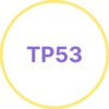 TP53