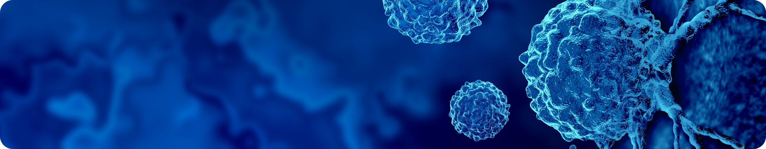 Tumor-agnostic терапия BRAF-позитивных опухолей основные понятия и распространенность мутаций BRAF Tumor-agnostic терапия BRAF-позитивных опухолей основные понятия и распространенность мутаций BRAF