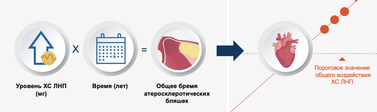 Риск ИМ удваивается при росте бремени атеросклеротических бляшек на каждые 1250 единиц (мг/лет) Риск ИМ удваивается при росте бремени атеросклеротических бляшек на каждые 1250 единиц (мг/лет)
