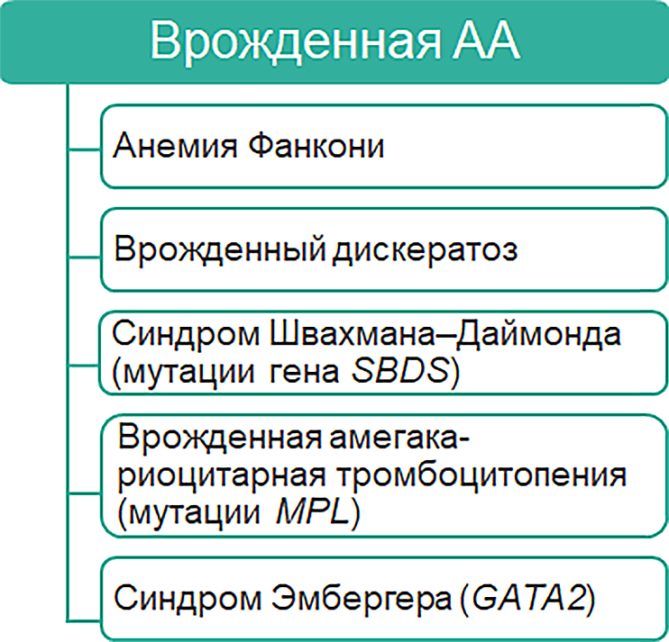 Классификация апластических анемий (АА) Классификация апластических анемий (АА)
