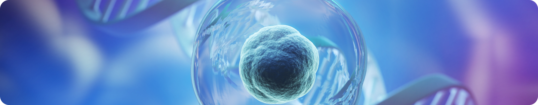 Шпаргалка гематолога: Методика проведения трепанобиопсии