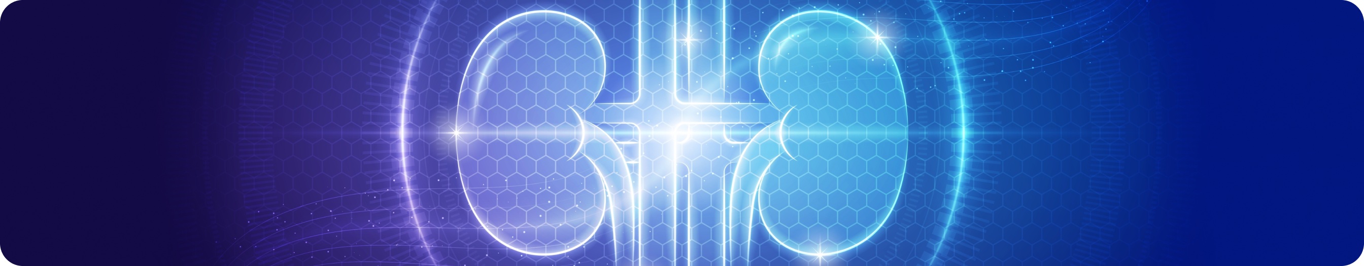 banner (22).png banner (22).png