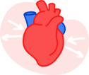 heart_icon_hsn heart_icon_hsn