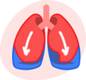 lungs_icon_hsn lungs_icon_hsn