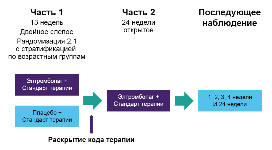Дизайн исследования PETIT2 Дизайн исследования PETIT2