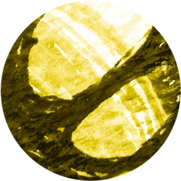 Новые данные исследования BYLieve