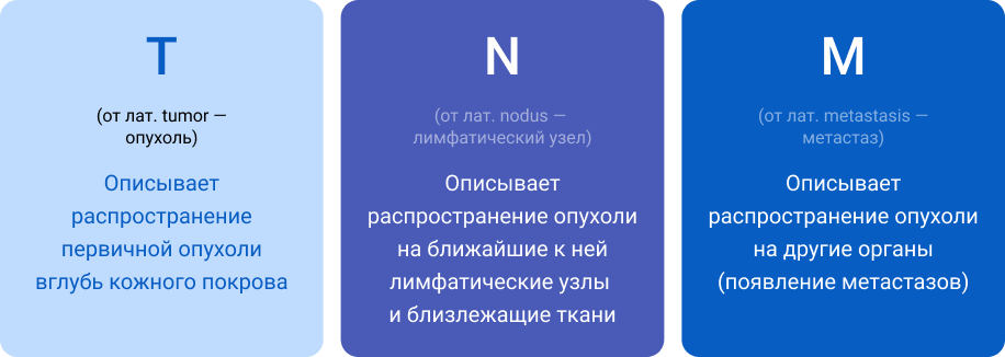 T - (от лат. tumor — опухоль) Описывает распространение первичной опухоли вглубь кожного покрова, N(от лат. nоdus — лимфатический узел) - Описывает распространение опухоли на ближайшие к ней лимфатические узлы
и близлежащие ткани, M(от лат. metastasis — метастаз) - Описывает распространение опухоли на другие органы (появление метастазов) T - (от лат. tumor — опухоль) Описывает распространение первичной опухоли вглубь кожного покрова, N(от лат. nоdus — лимфатический узел) - Описывает распространение опухоли на ближайшие к ней лимфатические узлы
и близлежащие ткани, M(от лат. metastasis — метастаз) - Описывает распространение опухоли на другие органы (появление метастазов)