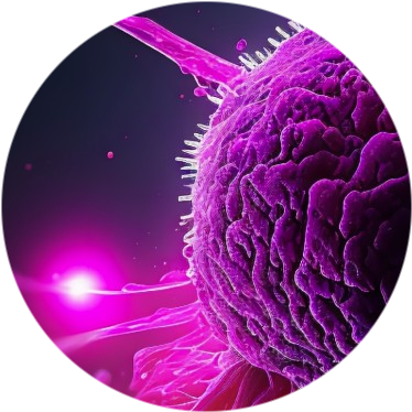 Новые данные исследования RIGHT Choice