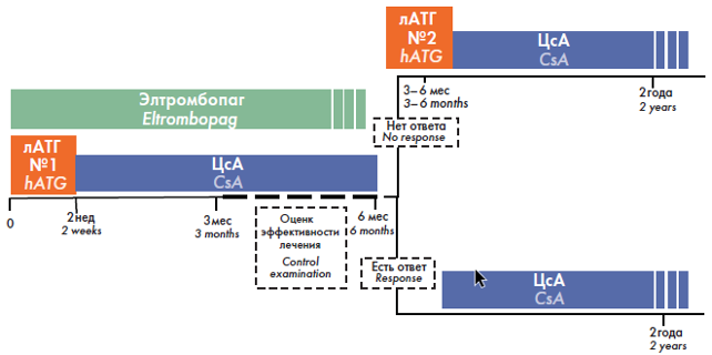 3_Protokol_programmy_kombinirovannoj_IST,_vklyuchayushchij_eltrombopag_v_period_indukcii_remissii_AA.png 3_Protokol_programmy_kombinirovannoj_IST,_vklyuchayushchij_eltrombopag_v_period_indukcii_remissii_AA.png