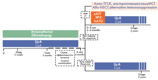 4_Protokol_kombinirovannoj_terapii_s_vklyucheniem_eltrombopaga_pri_nalichii_protivopokazanij_k_terapii_ATG_na_pervom_etape_lecheniya.png 4_Protokol_kombinirovannoj_terapii_s_vklyucheniem_eltrombopaga_pri_nalichii_protivopokazanij_k_terapii_ATG_na_pervom_etape_lecheniya.png