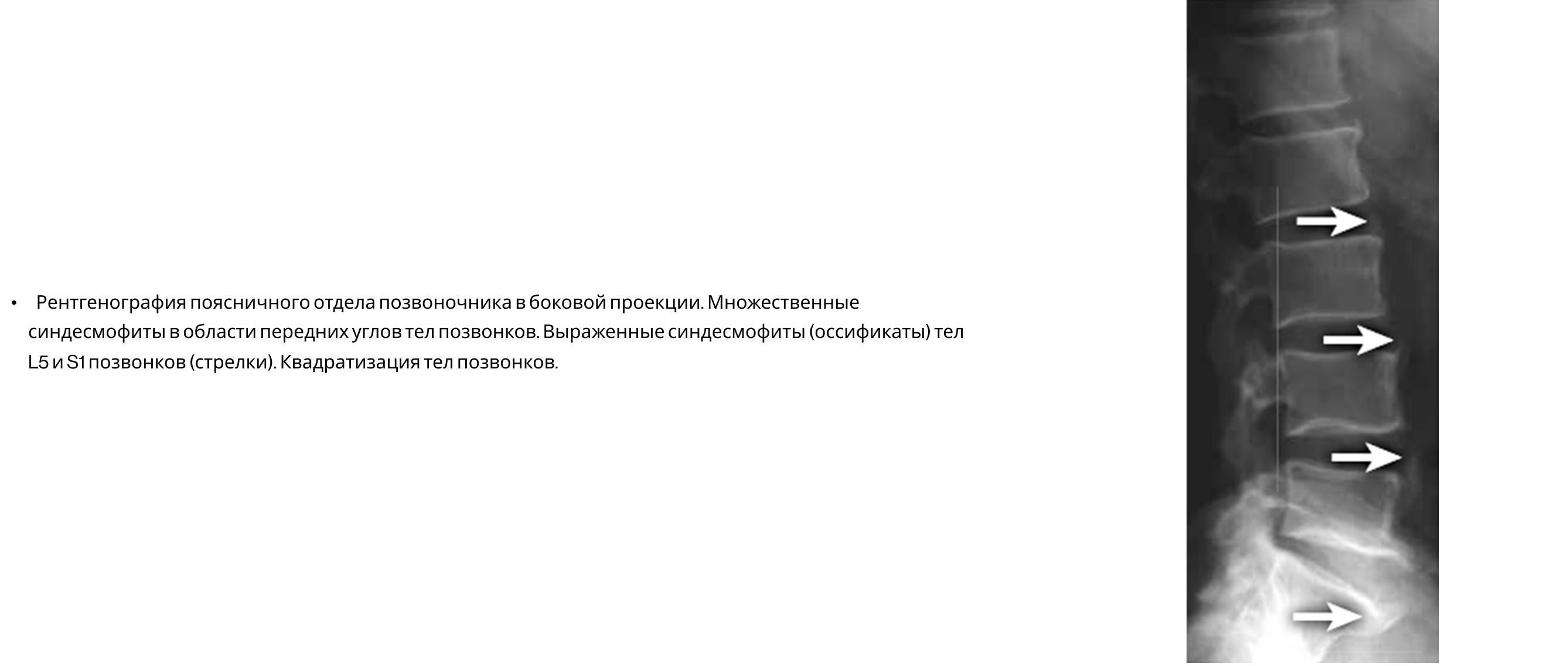 Frame 24061578 (2).png Frame 24061578 (2).png