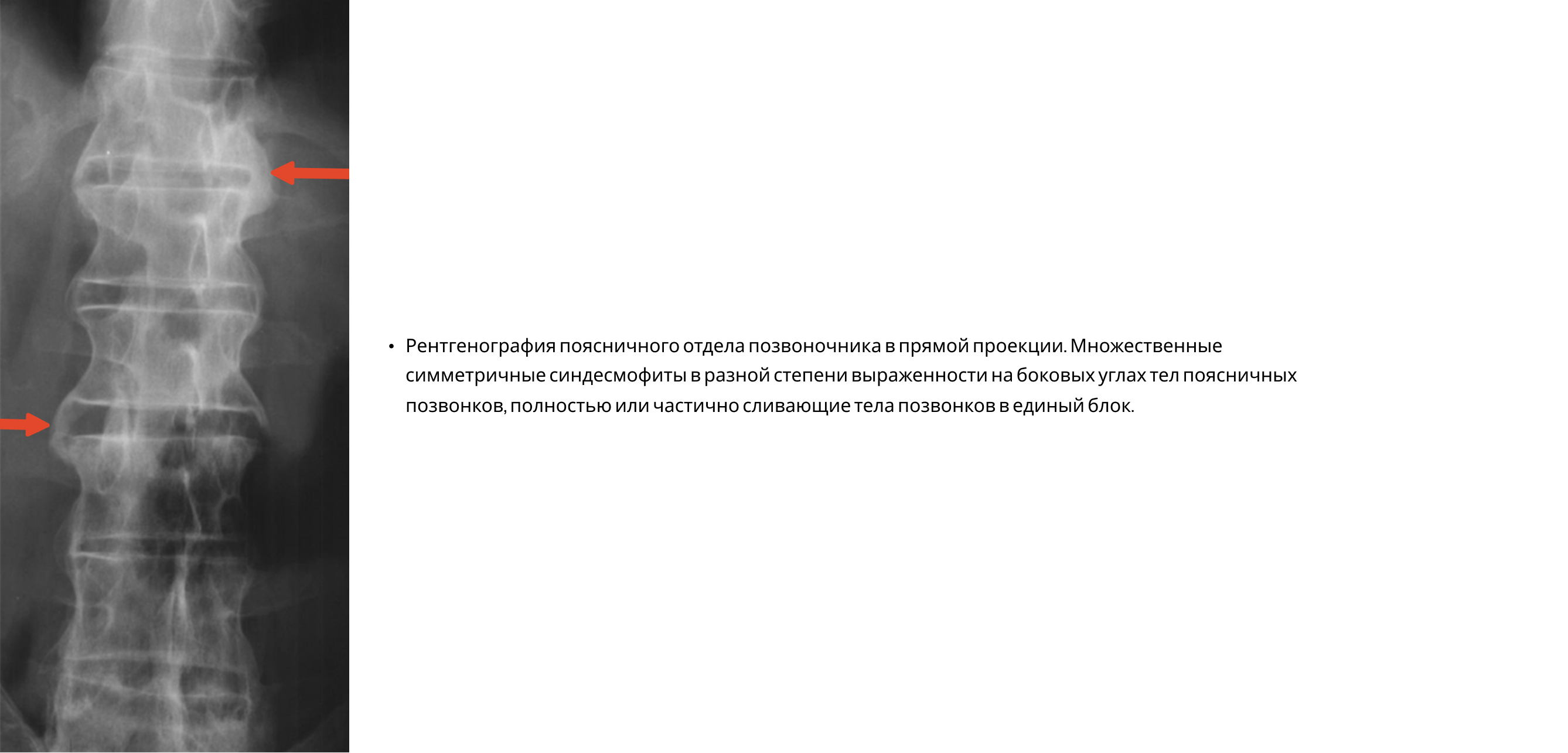 Frame 24061578.png Frame 24061578.png
