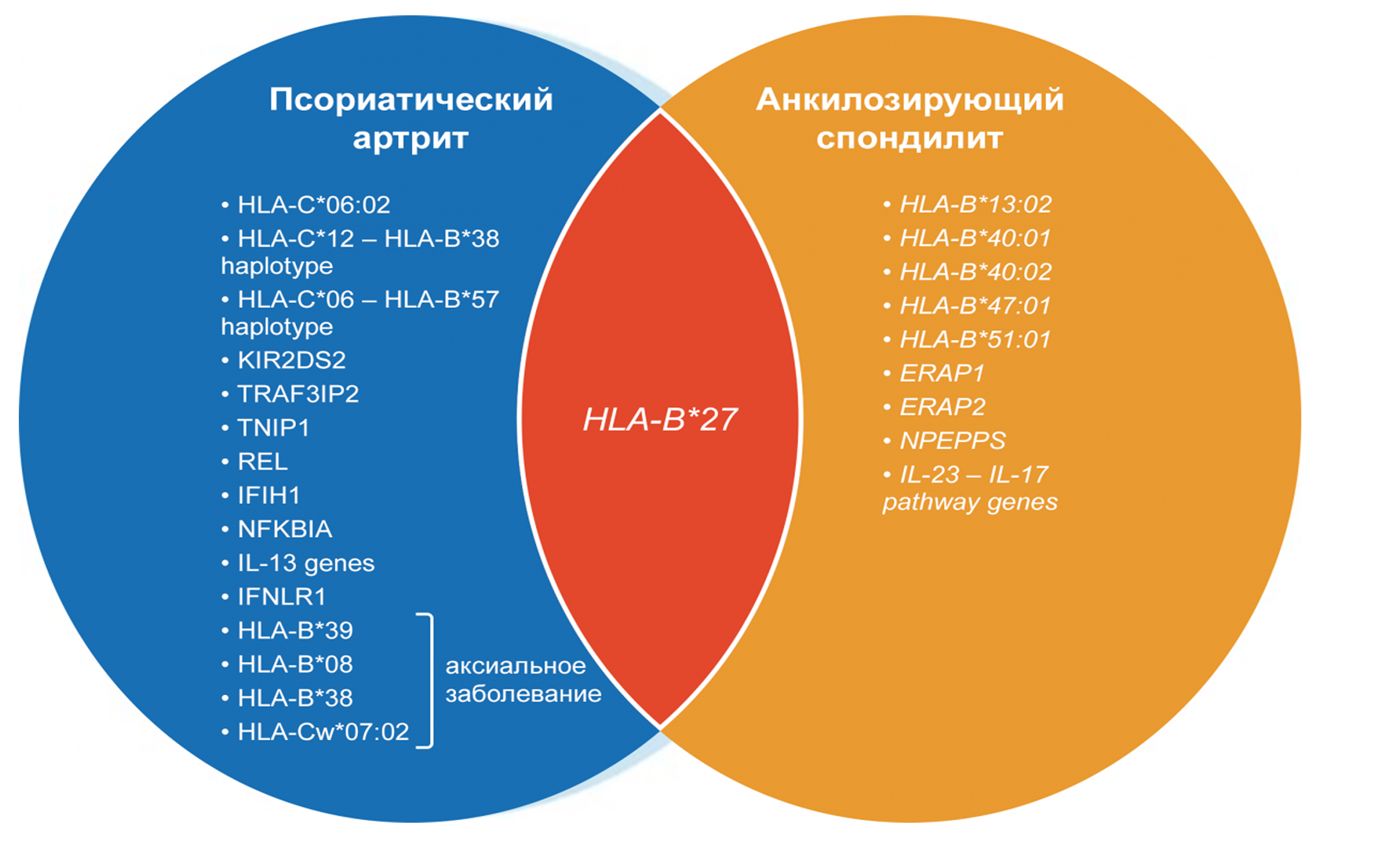 Frame 24062082.png Frame 24062082.png