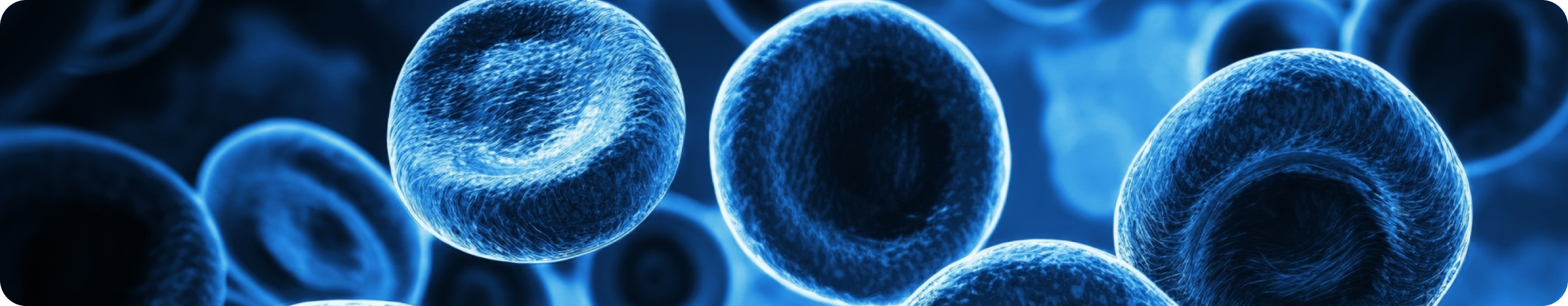 Асциминиб - результаты применения в клинической практике у больных хроническим миелолейкозом