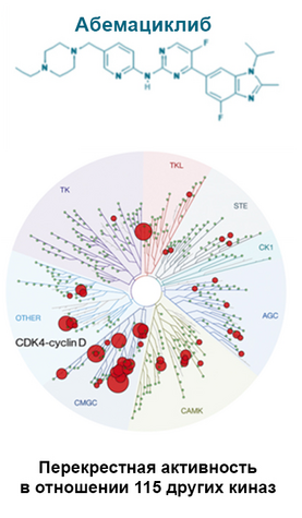 Молекулярные различия в структуре ингибиторов CDK4/6 косвенно влияют на результаты применения при рРМЖ