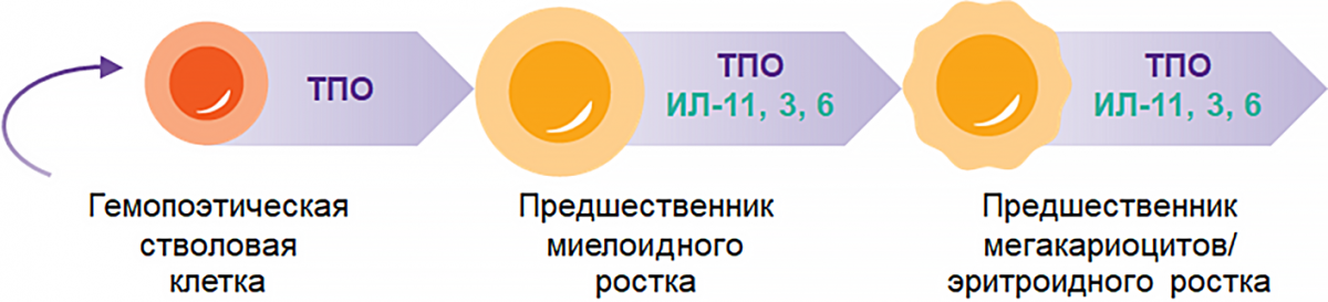 mechanics_scheme_1.png mechanics_scheme_1.png