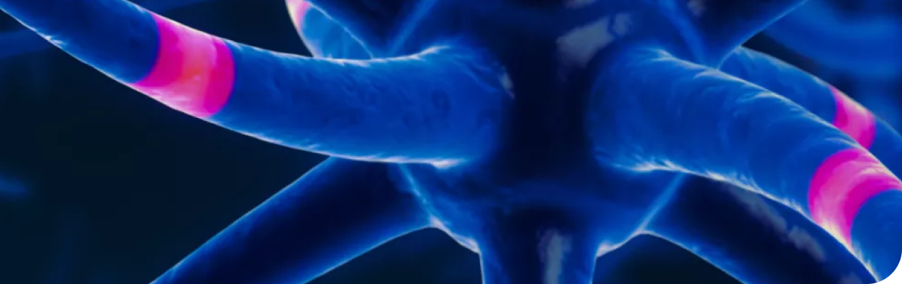 Новые клинические рекомендации 2025 по рассеянному склерозу: назначение и смена ПИТРС