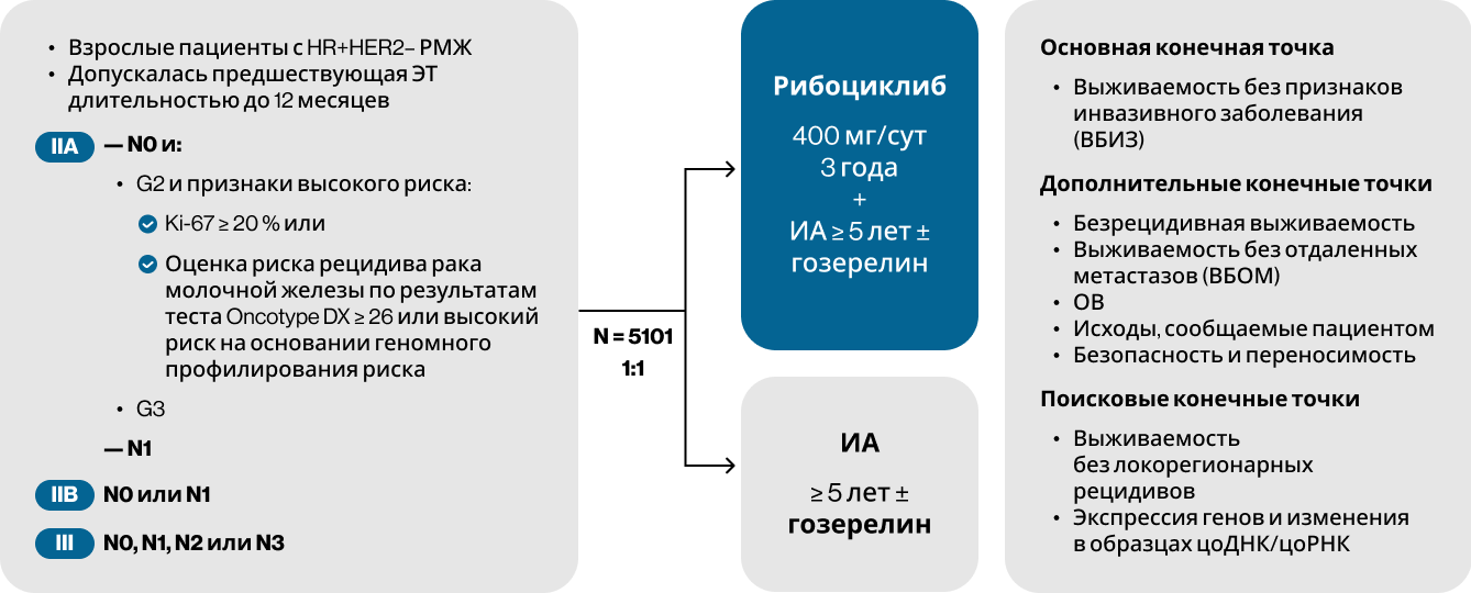 Дизайн исследования NATALEE