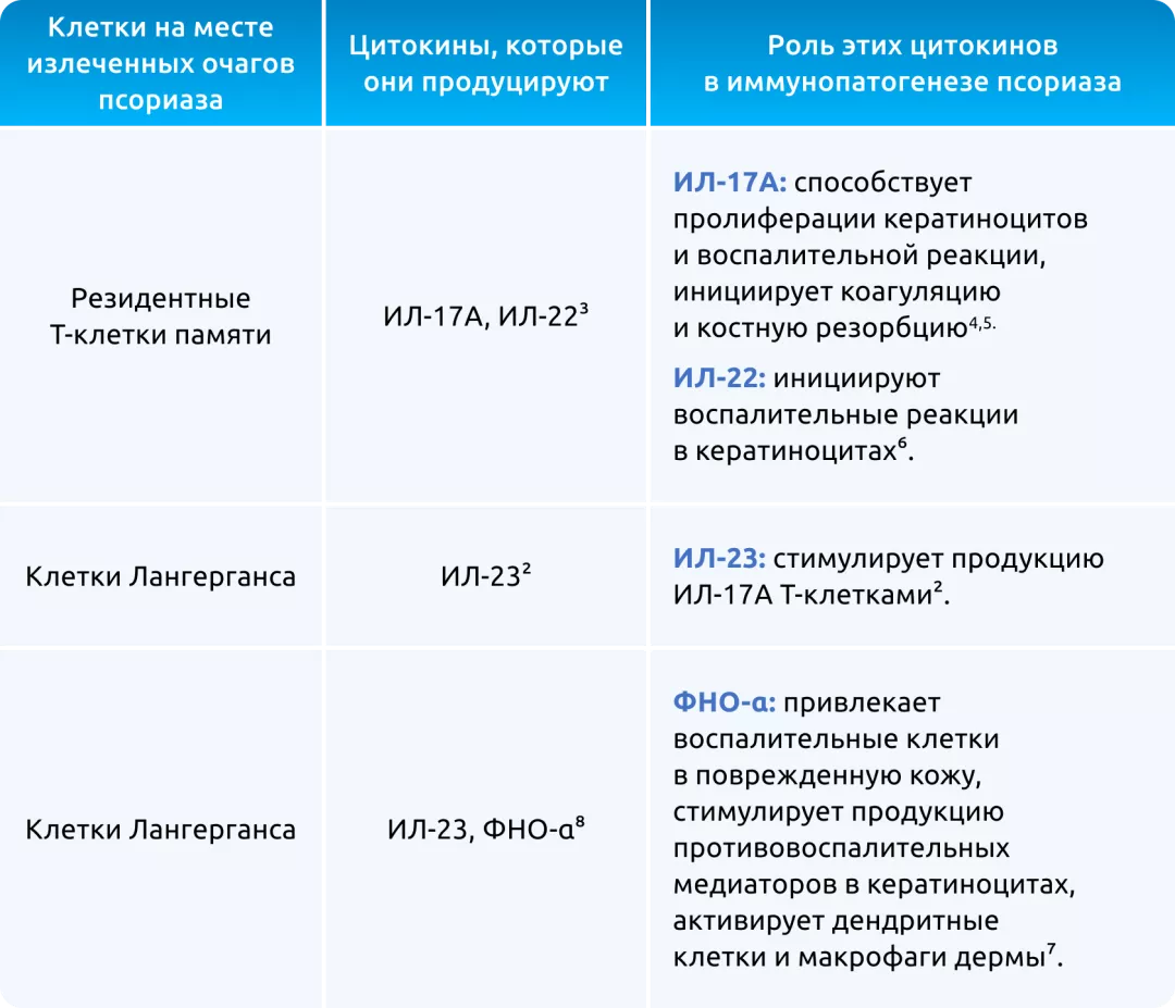 «Молекулярный шрам» псориаза формируют резидентные Т-клетки памяти, клетки Лангерганса и дендритные клетки. 