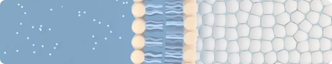 ГИБП в лечении псориаза возможности ингибитора ИЛ-17А