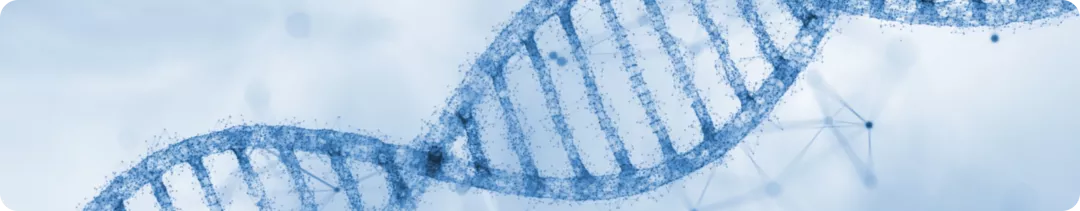 Программа диагностики спинальной мышечной атрофии