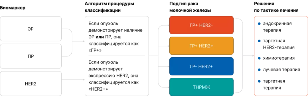 Часть 1. Почему мы еще не победили РМЖ HER2-enriched-подтип и проблемы существующих подходов в классификации РМЖ рис.1