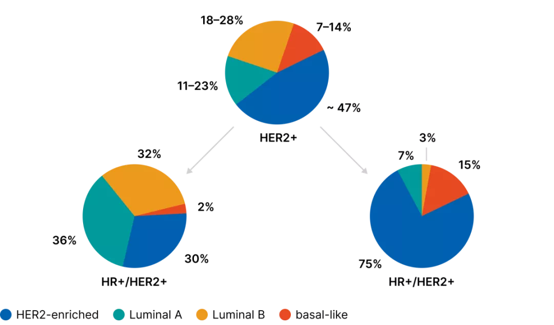 Часть 1. Почему мы еще не победили РМЖ HER2-enriched-подтип и проблемы существующих подходов в классификации РМЖ рис.3